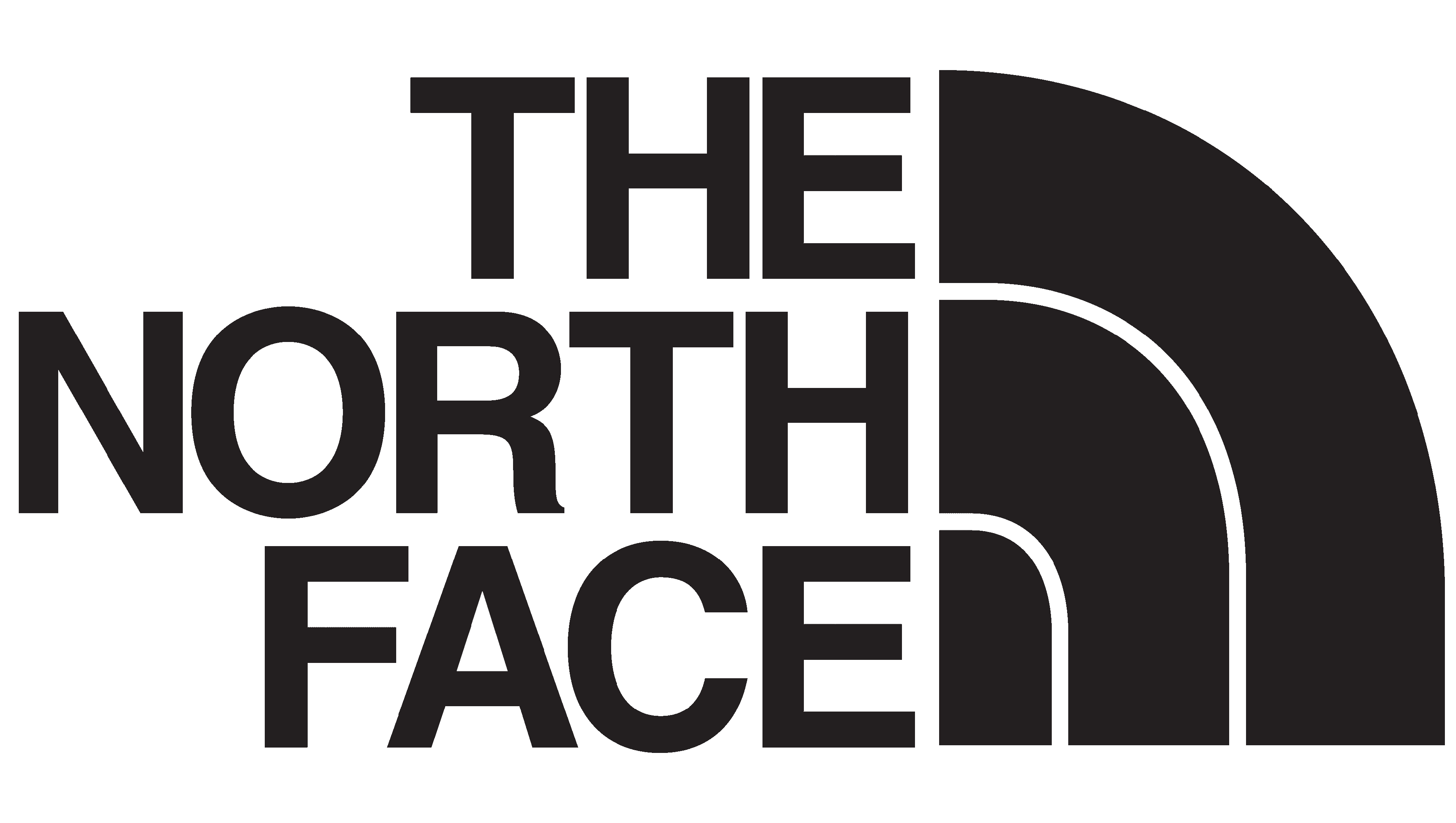 Logo The north face